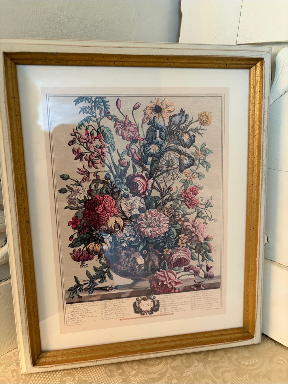 Vintage Floral Botanical Print in Gold Frame